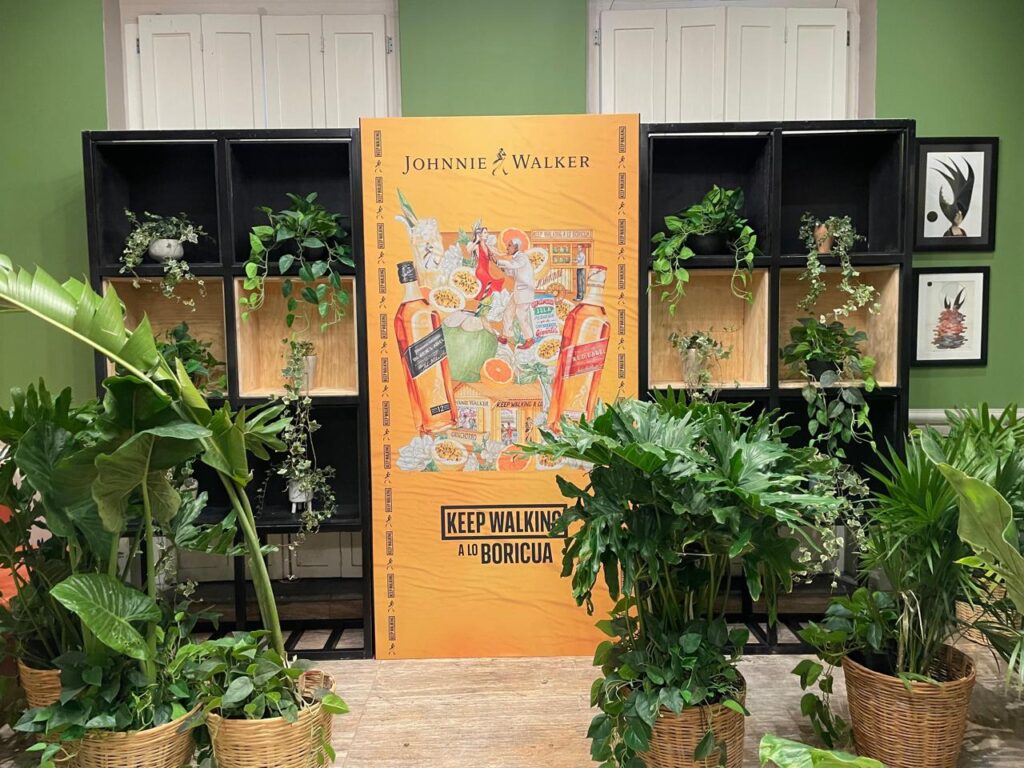 whatsapp image 2026 01 21 at 13.29.40 (2)